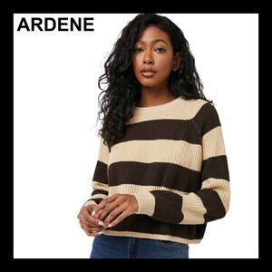 NWOT ARDENE Chunky raglan sleeve loose fit knit sweater